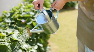 Arroser malin en pleine canicule : les bons gestes pour économiser l'eau
