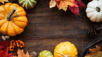 AGENDA DU JARDINIER EN NOVEMBRE