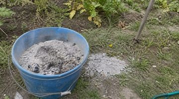 Cendre de bois au jardin : utilisations, dosage et précautions