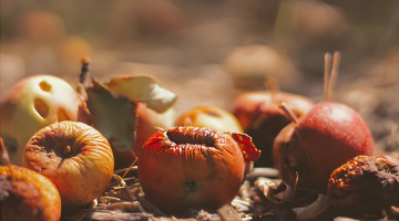 Comment faire du compost ?