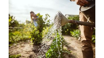 Jardiner écoresponsable : réduire son impact environnemental