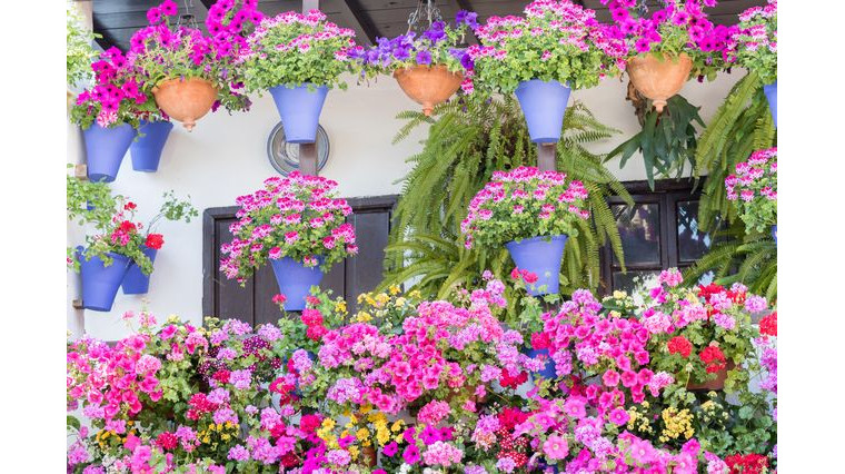 Jardins urbains : comment cultiver des plantes sur un balcon ou une terrasse ?