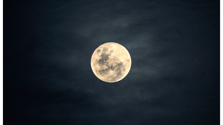 Comment jardiner au mois de mai avec le calendrier lunaire ?