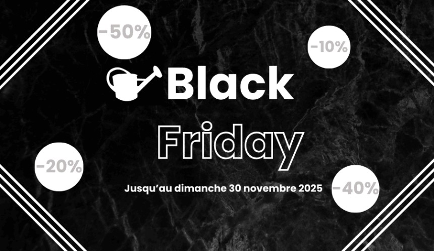 Black Friday 2025 !