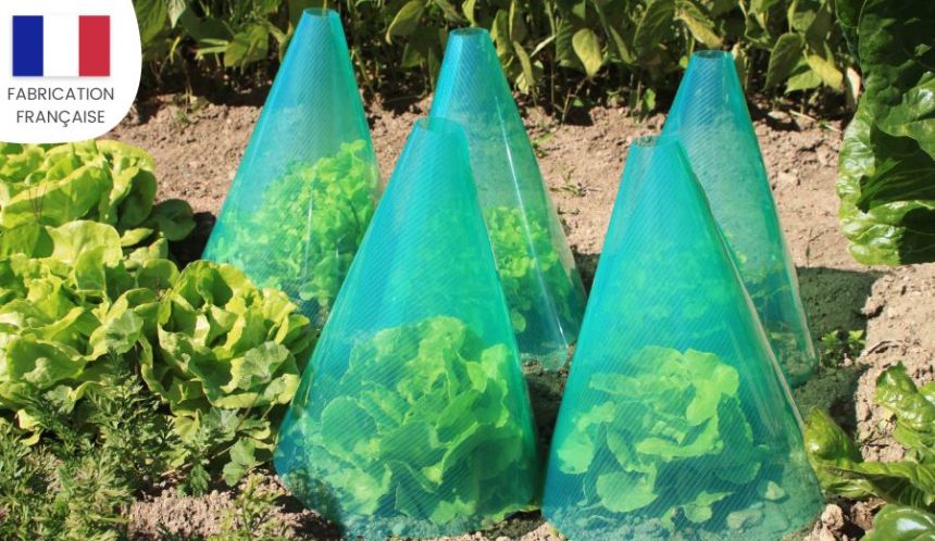 Des cônes de forçage pour votre potager